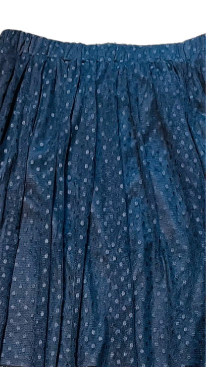 Dot Tulle Long Skirt